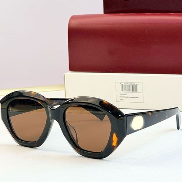 Ladies ellipse Frame Sun Glasses with retro tortoiseshell texture acetate frame brown lenses Y2K style fashionable outdoor travel driving glasses 2200S