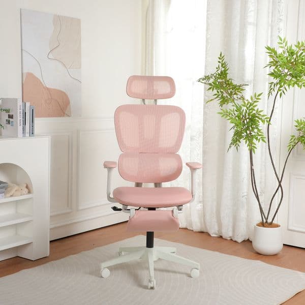 High-Quality Ergonomics Ergonomic Office Chair with Footrest High-back Computer Chair with Dynamic Lumbar Support 2D Headrest & 4D Armrests for Comfortable Sitting