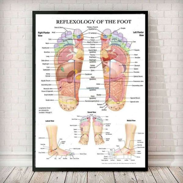 Scandinavian Simple Wall Art Acupuncture Points Diagram Anatomy Foot Reflexology Poster Print Home Bedroom Living Room Decor 26Y0617