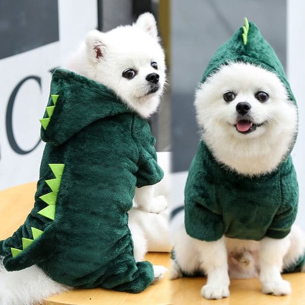 Dog Apparel Autumn and winter warm four-legged feet small medium-sized dogs and cats dinosaurs transformed into clothing supplies