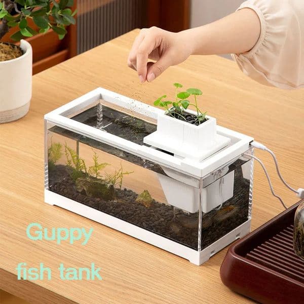Fish Tank Silent Desktop Landscape Ancient Small Ecological Filter Goldfish Koi Beta Aquarium 240906
