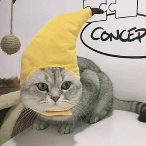 Funny Cute Pet Cat Costume Banana Cap Hat For Cat Dog Halloween Christmas Clothes Fancy Dress Party Pet ClothesXJ240906