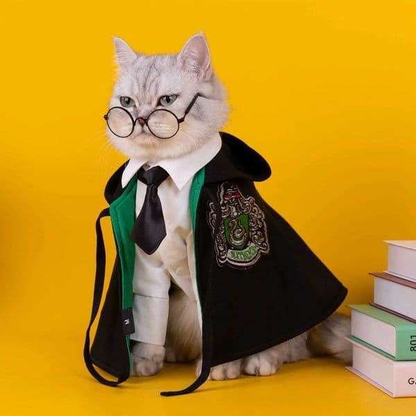 Cat Halloween Cloak Cat Cloak Pet Magic Academy Role Play Costume Pet Cat Clothing Dog Sleeping Shawl Dog Halloween ClothingXJ240906