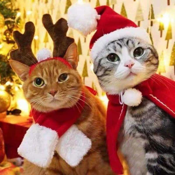 Dog Cat Christmas Hat Scarf Cape Cosplay Costume Gift Winter Cloak Headband Party Pet Clothing Cat Accessories SuppliesXJ240906