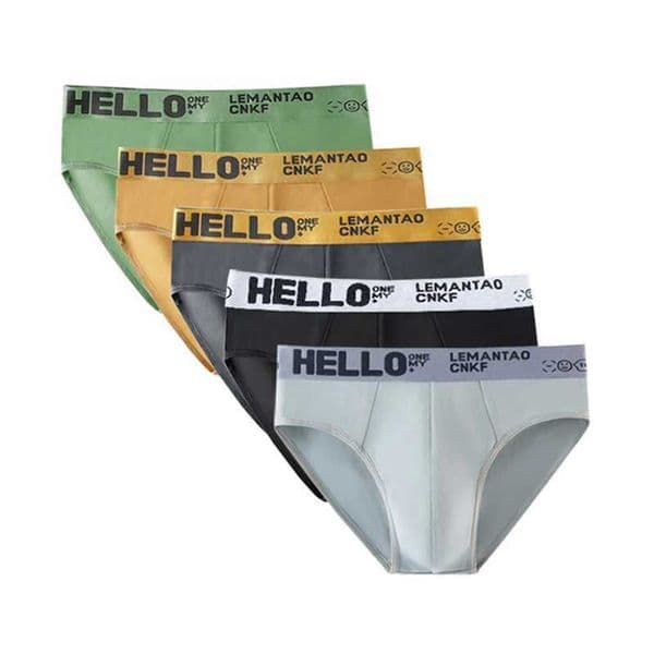 5Pcs Men Underwears Ventilate Mens Briefs Breathable Male Large Size L-5XL Comfortable Solid Underpants Fashion Boy PantiesX240910