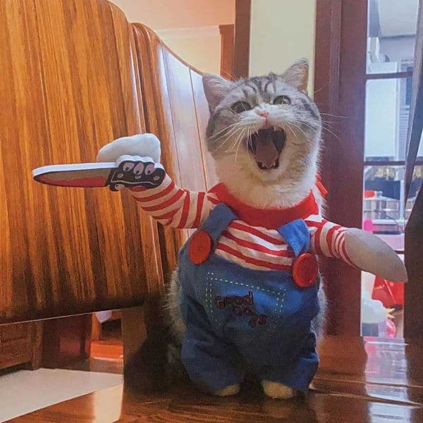 Christmas Funny Pet Cat Clothes for Small Medium Cats Dogs Party Dressed Up Kitten Cosplay Costumes Chihuahua Bulldog ClothingXJ240906