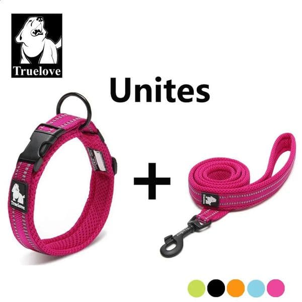 Truelove Easy On pet dog collar and leash set with adjustable nylon pads for small medium large dogs to train walk 240913