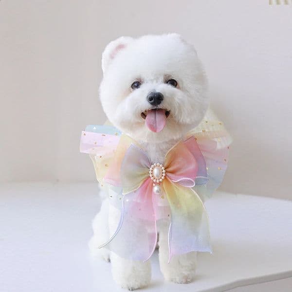 Rainbow Pearl Dog Collar Organza Jewelry Chiffon Cat Ribbon Scarf Pendant Pet Bow Necklace Satin Kitten Gift 240913