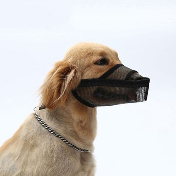 Adjustable Dog Muzzle Small Medium Dogs Air Mesh Breathable Drinkable Pet Muzzles Anti-Biting Anti-Barking Licking Dog Mouth Cover JY1148