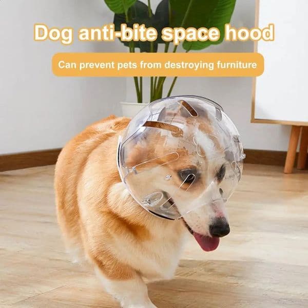 Pet Dog Breathable Protective Helmet Space Cover Adjustable Anti Lick/Anti Bite Head Gear Muzzle Pet Dog Cat Beauty Products 240923