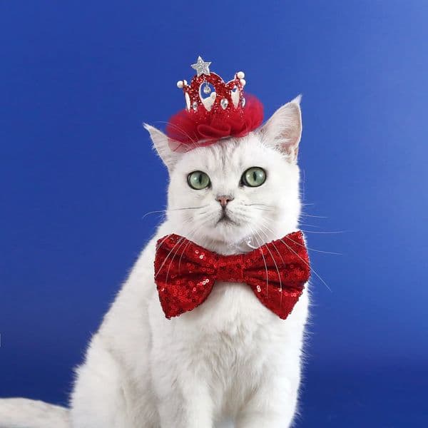 Pet Crown Collar Set Sparkling Tie Pearl Diamond Princess Party Headwear Cat Dog Wedding 240929