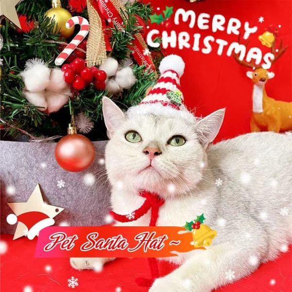 Halloween Christmas Crochet Pet Hat Winter Warm Handmade Dog and Cat Accessories Knitted Headwear Puppy Beauty Products 240929