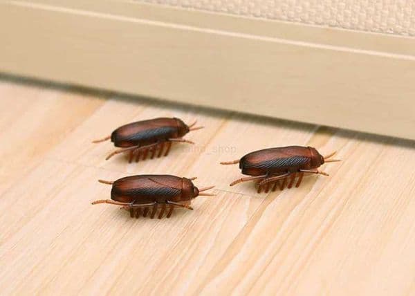 Battery-Powered Cockroach Mouse Toy for Cats Electronic Cockroach Fun Cat ToyXJ240801