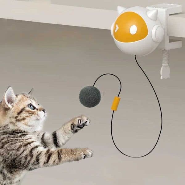 Automatic Lifting Cat Toy Ball Interactive Cat Ball Toy Electric Lifting Smart Pet Cat Ball Toys Supplies for Cats KittenXJ240801