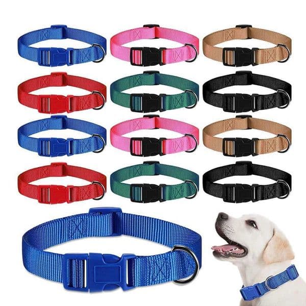 Adjustable Nylon Dog Collar Durable Basic Dog Collar for Small Large Dogs French Bulldog Safety Walking Training Pet Supplies Y240803