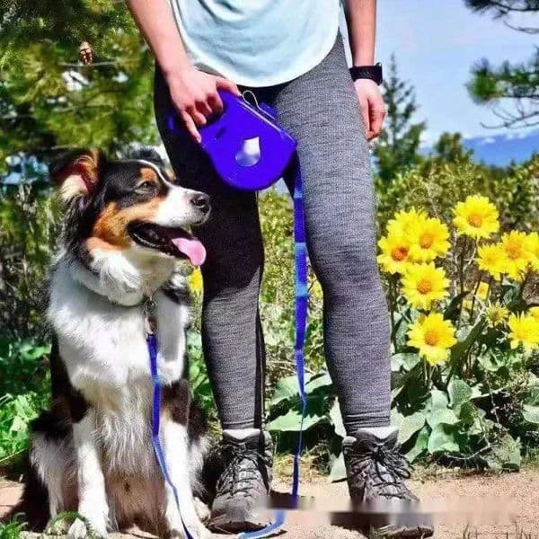 Detachable Kettle Pet Leash 4 In 1 Multi-functional Portable Dog Leash Handle with Lunch Box Retractable Dog Leash Dog Walking Y240803