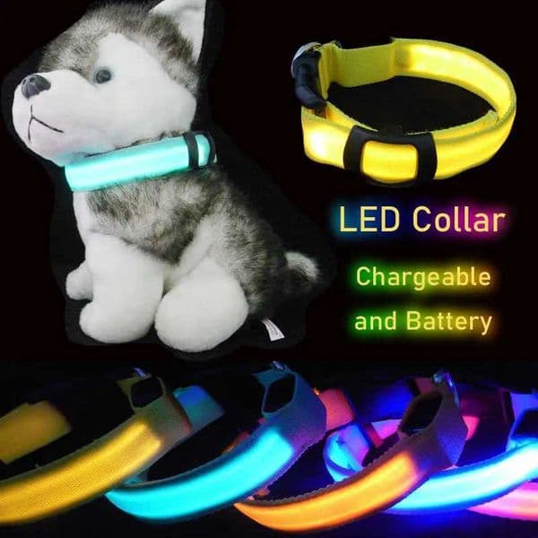 LED Dog Collar Light Big Cat Pet Small Charm Dark Night Safety Light-up Flashing USB Charge Anti Lost Nylon For Chihuahua Leash Y240803