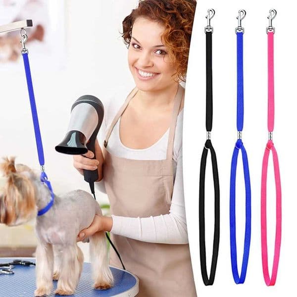 Dog Cat Pet Harness Leash Grooming Shower Bath Accessories Gentle Fasten Dog Grooming Harness Leash Rope for Pet Y240803