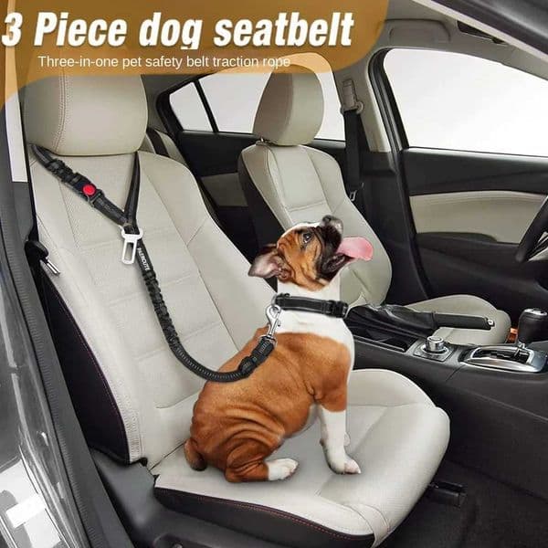 Dog Car Seat Belt Safety Protector Travel Pets Accessories Dog Leash Collar Breakaway Solid Car Harness Y240803