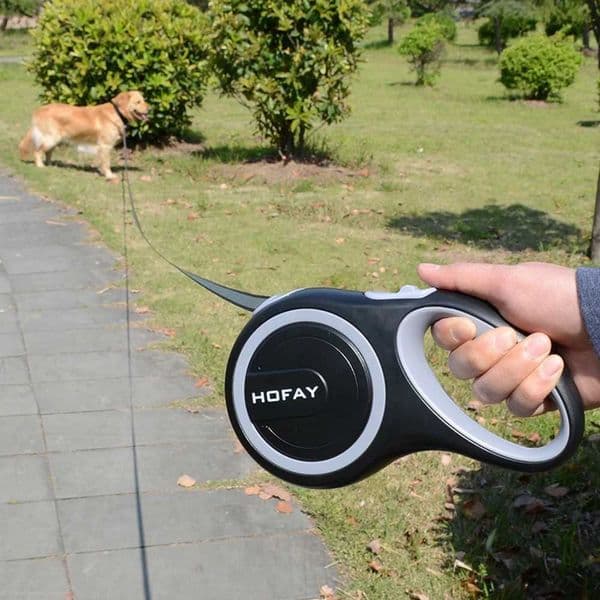 Bicolour Retractable Pet Leash Automatic Extending Dog Lead Large Dogs Belt Samoyed 8 Meter Rope Flexible Borzoi Roulette 26Feet Y240803