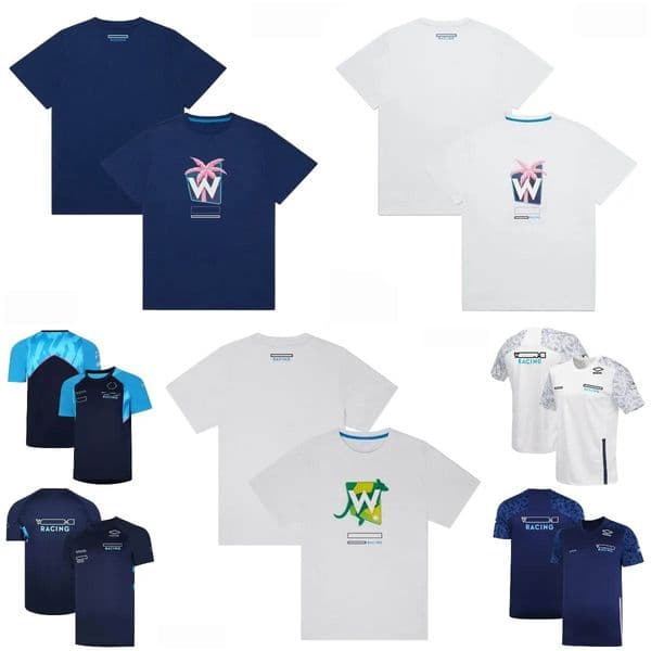 F1 Formula One Racing Clothing 2023 New Team Driver T-shirt Men's Short Sleeve Quick-drying T-shirt Plus Size Customization