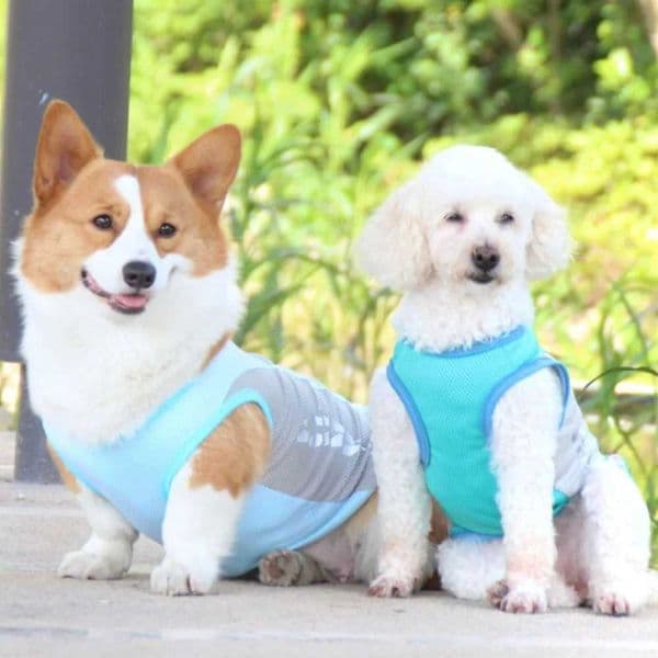 Pet Cooling Vest For Dogs Lightweight Jacket Reflective Quick-cooling Summer Pet Coat For Small Medium And Large Dogs Clothing Y240806