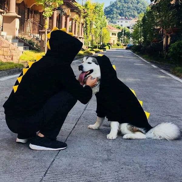 Pet Matching Clothes Cartoon Dog Hoodie Warm Dogs Pets Clothing Medium Large Dogs Costume Ropa Perro Labrador Big Pet Clothes Y240806