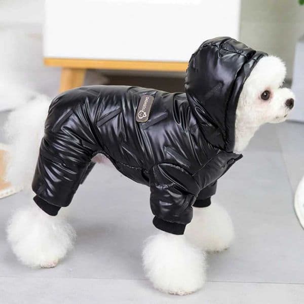 Fashion Dog Clothes Warm Thickening Dog Jacket Windproof Coat Outfit Puppy Down Jacket Winter Pet Dog Clothing Overalls for Cats Y240806