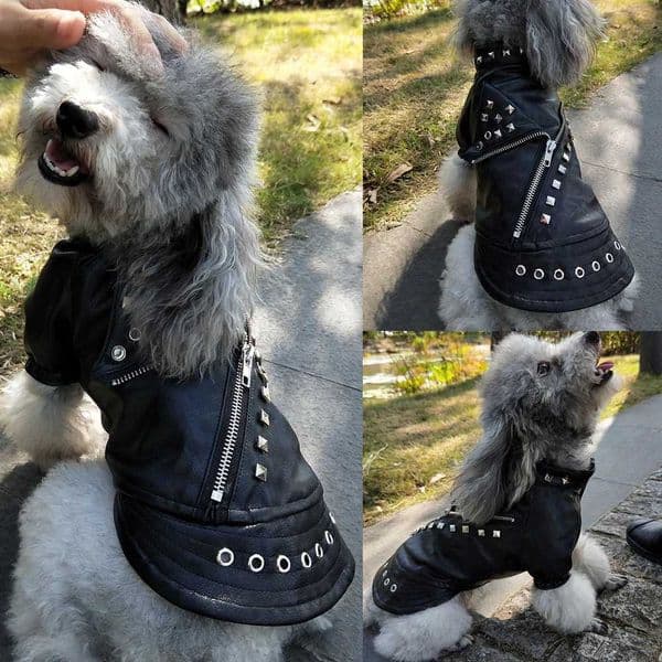 Cool Leather Dog Jacket Coat Warm Winter Dog Clothes French Bulldog Waterproof Pet Clothing Outfit for Small Medium Dogs Black Y240806