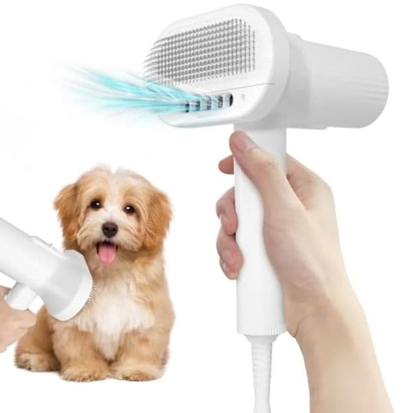 2in1 Dog Dryer and Brush with Overheating Protection 3 Blowing Modes Dog Grooming Equipment For Pet Hair Blow Dryer 240807
