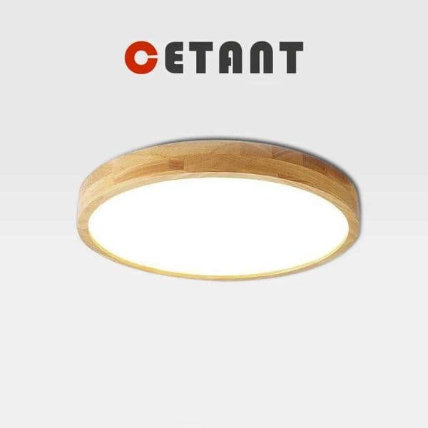 Nordic Wood Ultrathin Ceiling Light Acrylic Lampshade For Living Room Dining Room Bedroom Study Hallway Entryway Decor LED Light Y240802