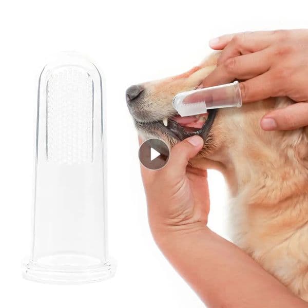 Pet silicone finger Cots toothbrush super soft dog brush bad breath Tatar teeth care tools dog and cat cleaning supplies pet supplies 240807