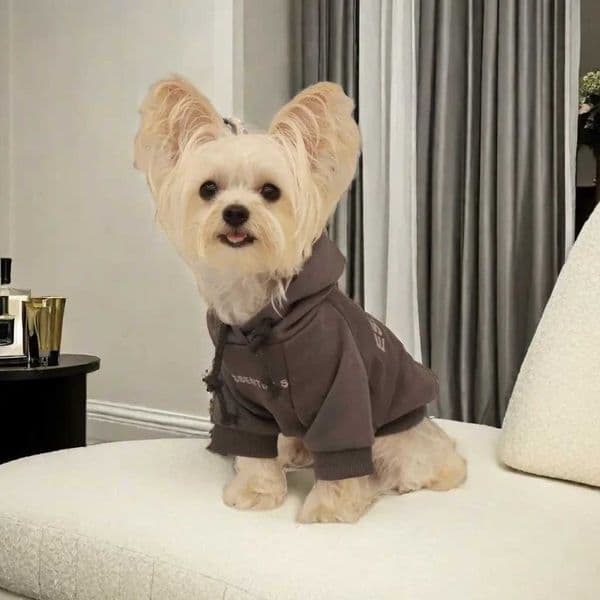 Dog Apparel Dog T-shirt Summer Dog Clothing Casual Clothing Small Dog Cat Chihuahua Haba Dog Clothing Yorkshire Shirt Dog Clothing T240813
