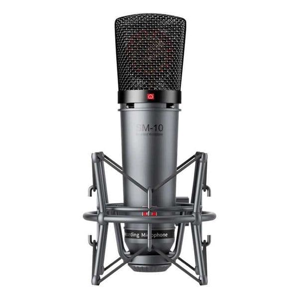 Takstar SM-10 Professional Recording Microphone Home Studio Voice Recording Equipment Condenser Microphones Wired XLR Mic CL240813