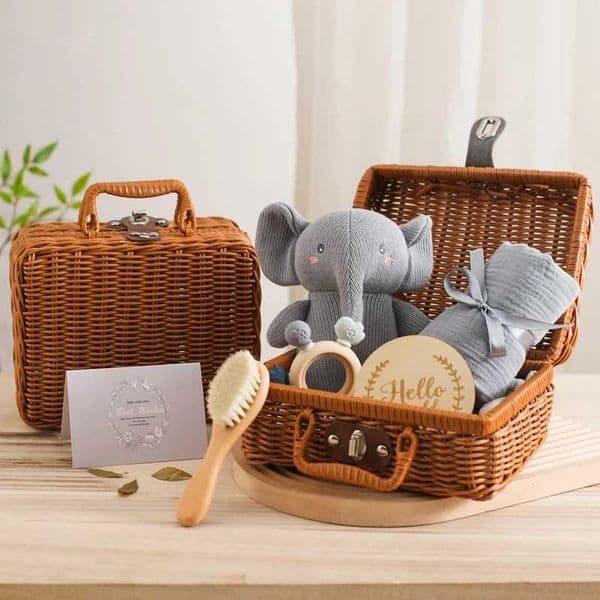Baby Crochet Rattle Elephant Teether Toys Silicone Rudder Teething Toys Cotton Towel Wool Brush Weave Gift Box Bath Toys SetM240815