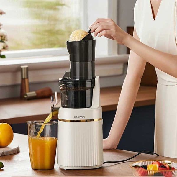 New Electric Slow Juicer Fruit Vegetable Screw Cold Press Extractor Filter-Free Squeezer Citrus Juicer Portable Blender 220V CL24815