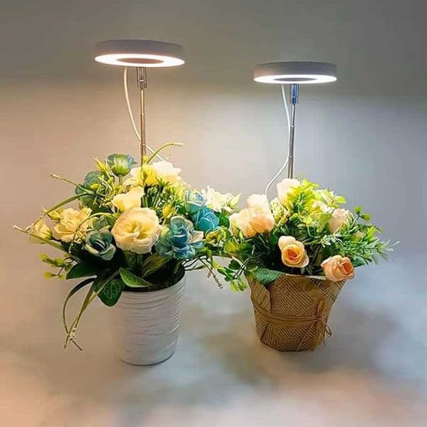 LED Grow Light Full Spectrum Plant Lamp USB 5V Height Adjustable Growing Lamp Indoor Greenhouse Phyto Lamp LED Growth Light Y240816