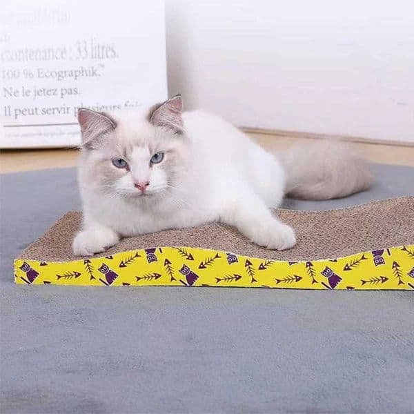 Pet Cat Scratching Board Grinding Nails Interactive Protecting Furniture Cats Scratcher Toy Corrugated Cardboard Pad Cat ToysXJ240817