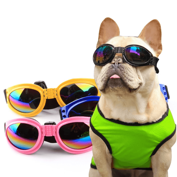 Dog Sunglasses for Medium Large Breed Dogs, Wind Dust Fog Protection Eye Wear Dog Glasses with Adjustable Strap for Motorcycle Car Driving Bike Riding Hiking Swimming