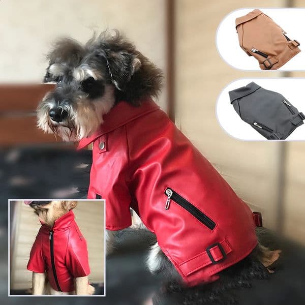 Leather Windproof Dog Jacket with Eagle Embroidery Warm Handsome Pet Clothes Casual Comfortable Coat for Small Medium Large Dogs 240823