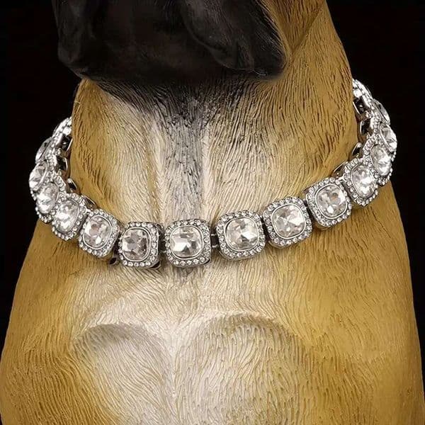 Collar Bg Diamond Dog Necklace Cuban Gold Chain for Cats Dogs Jewelry Metal Material dog collar pet collars