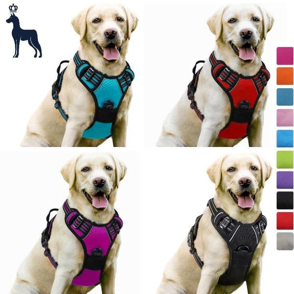 Dog Harness No-Pull Pet Harness with 2 Leash Clips Adjustable Soft Padded Dog Vest Reflective No-Choke Pet Oxford Vest with Easy Control Handle for Large Dogs CH287