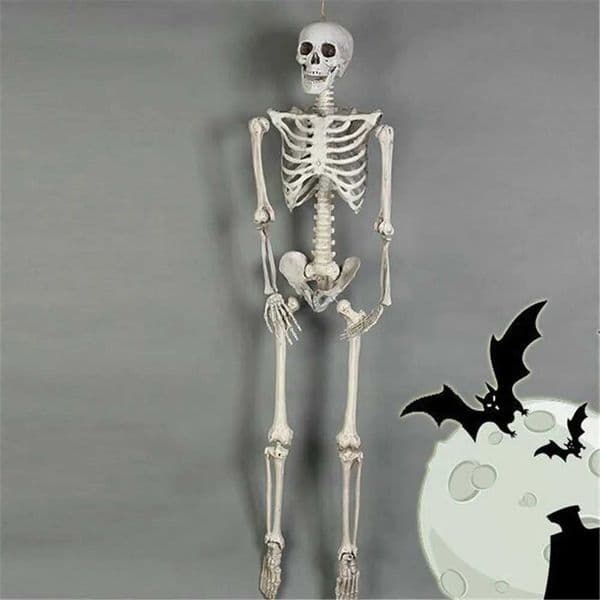 TOYZHIJIA Skeleton animal Plastic Animal Skeleton Toy Horror Halloween Christmas animal Crow Skeleton Halloween Decoration Y240827