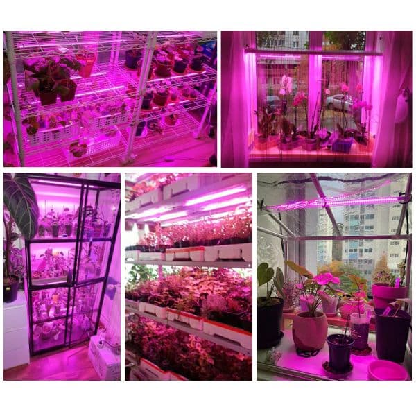 LED Grow Bar Light Full Spectrum Phytolamp 220V 7W Grow Lamp LED Tube for Indoor Plants Hydroponics Greenhouse Tent Seedlings 06cf6