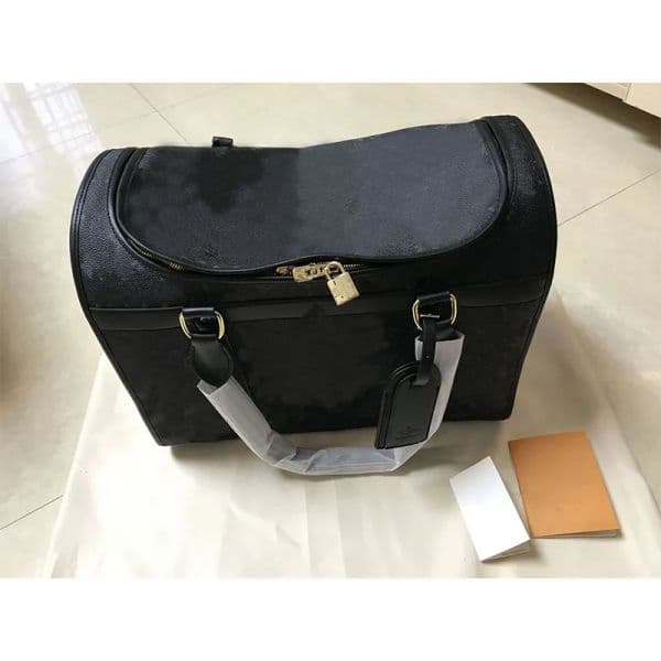 Designer Cat Tote Brown Leather Classic Logo Pet Outgoing Teddy Air Small and Medium sized Dog Bag
