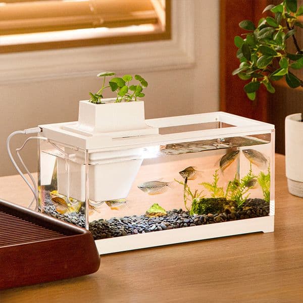 Water Flow Small Fish Tank Micro Landscape Filter Mute Fish Tank Office Desktop Home Ornaments Heating Tropical Fish Tiny Fish