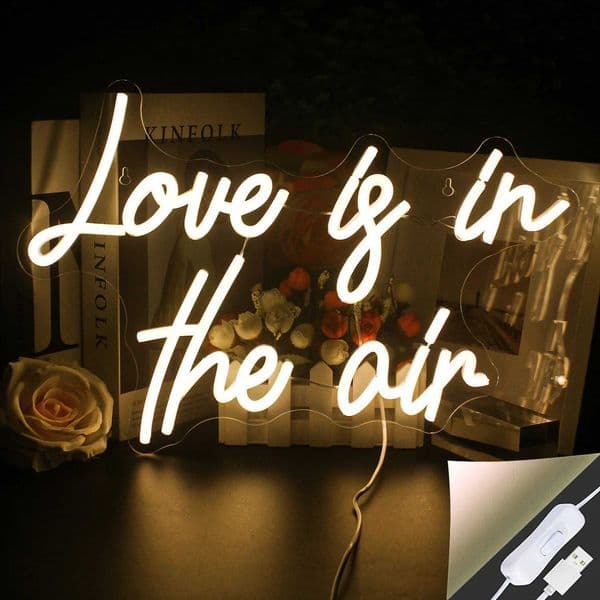 Love in the sky neon sign LED room wall decoration USB powered acrylic with switch used for bedroom party wedding decoration X241210
