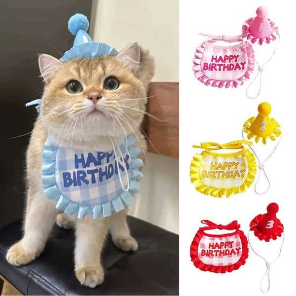 Pet Birthday Cute Props Headwear Hat Bib Saliva Towel Hat Cat and Dog Birthday Clothing Pet Accessories Decoration Supplies M241212