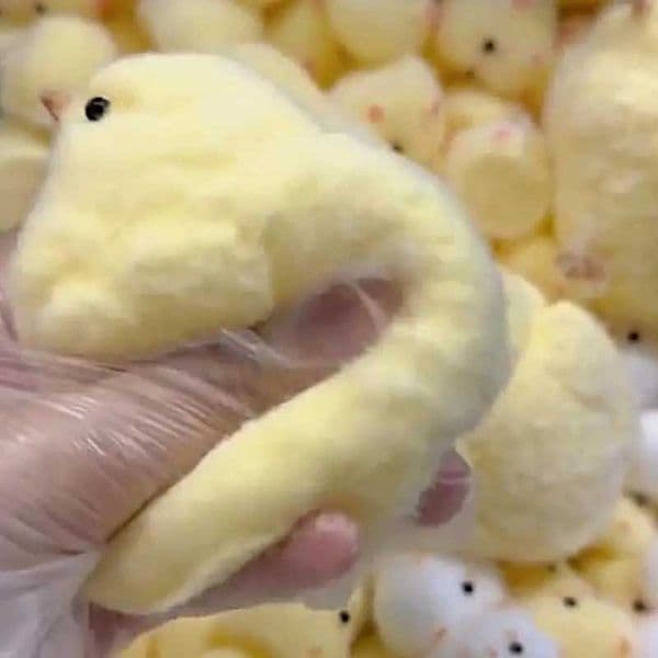 Decompression Toy Handmade Yellow Big Chicken Plush Silicone Squishy Pinching Toys Cute Hen Chicks Taba Squeezing Gift Toy Cute Squishy Chick C251021