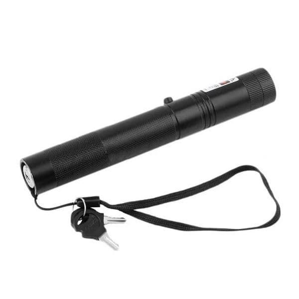 Cat keychain with fun pointers no battery light portable LED training flashlight cat tick toy flashlight T241218